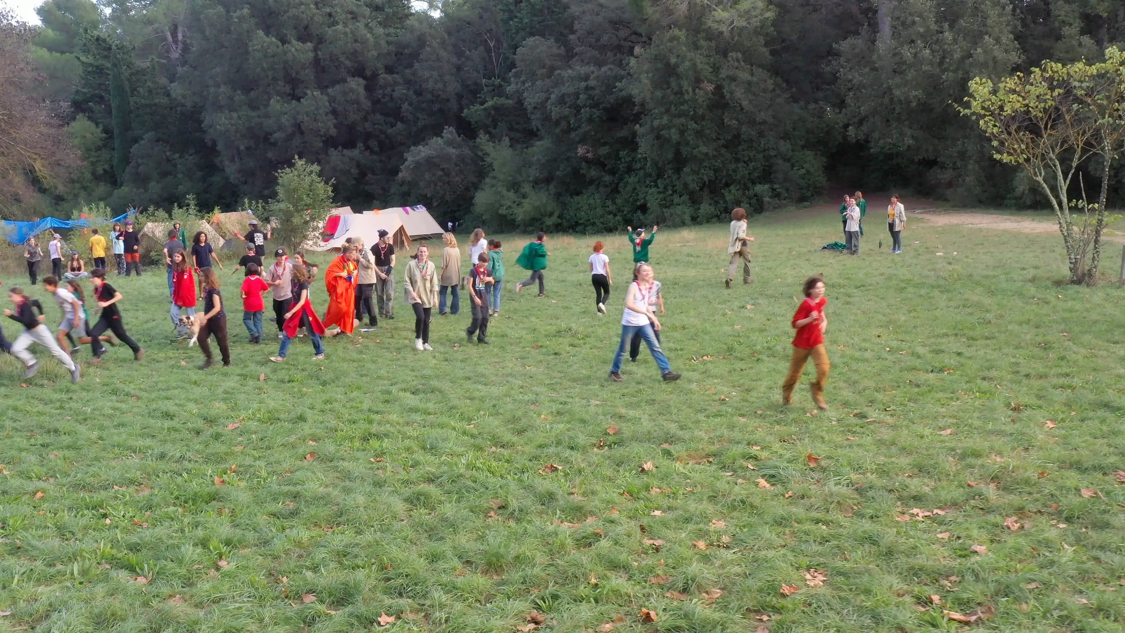Activités de pleine nature - Scouts EDLN Caen en Normandie